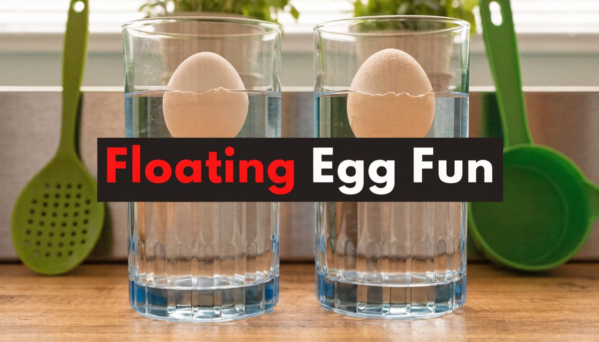 Floating Egg Science Experiments Your Kids Will Love – Playz - Fun for ...