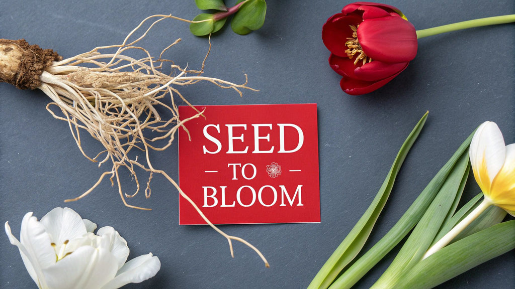 How Do Flowers Grow From Seed to Bloom: A Step-by-Step Guide