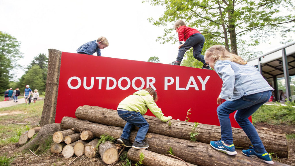 Unlock the Powerful Benefits of Outdoor Play for Child Development